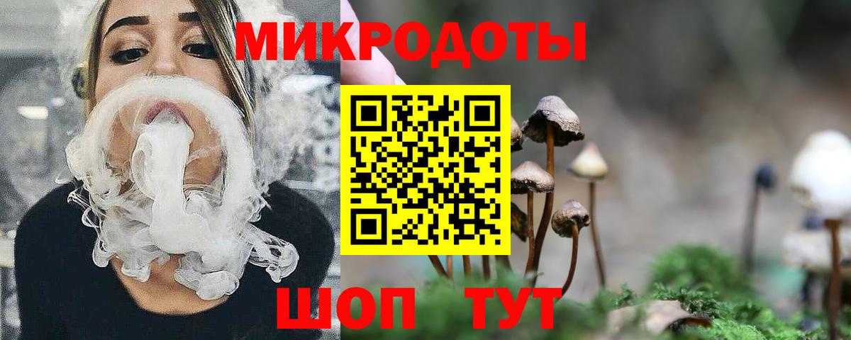 Галлюциногенные грибы Psilocybine cubensis Белгород